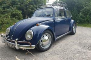 1967 vw beetle 1641cc