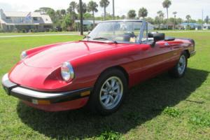 1986 Alfa Romeo Spider