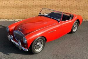 1954 AUSTIN HEALEY 100/4 // 2.7L // CLASSIC SPORTS CONVERTIBLE // PX SWAP