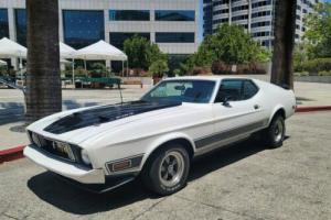 1973 Ford Mustang 1973 FORD MUSTANG MACH 1 Photo