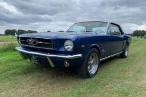 64 1/2 Ford Mustang Photo