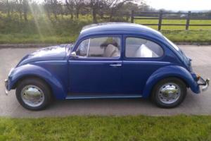 Vw beetle 1500 mot and tax exempt .....contact on 07966727577...... Photo
