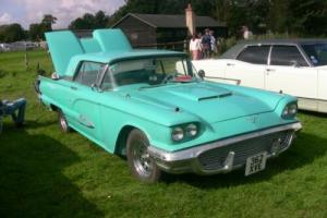 used american classic cars   ford thunderbird