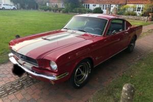 Ford Mustang Fastback 1966 Photo