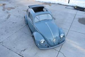 1956 Volkswagen Beetle - Classic