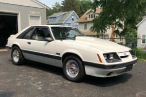 1985 Ford Mustang Gt Photo