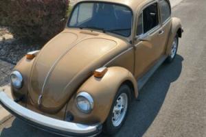 1976 Volkswagen Beetle (Pre-1980) Classic
