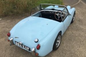 Austin Healey Frogeye Sprite 1960 all steel including the bonnet, had ££££ spent Photo