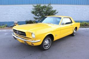 1965 Ford Mustang Coupe 3 Speed Restored Must See 90+ HD Pictures Photo