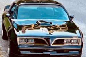 1981 Pontiac Firebird Bandit TRANS AM Photo