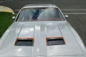 1978 Pontiac Firebird Photo
