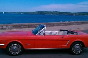 1964 Ford Mustang Photo
