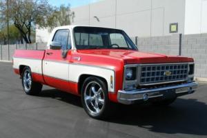 1980 Chevrolet Other Pickups