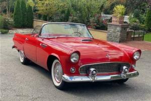 1955 Ford Thunderbird Photo