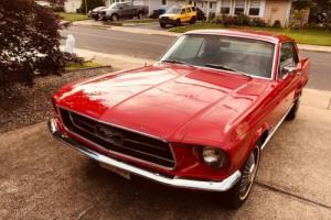 1967 Ford Mustang standard Photo