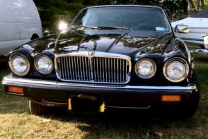 1984 Jaguar XJ6 Photo