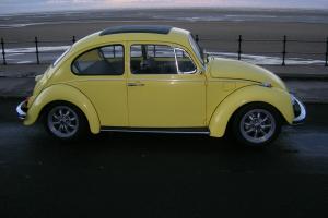 Classic VW Beetle 1969 - with rag top sunroof  Photo
