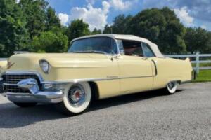 1955 Cadillac Series 62 Photo