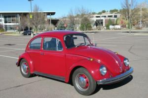 1969 Volkswagen Beetle - Classic Photo