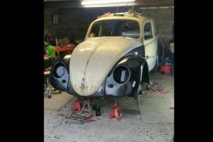 Volkswagen Beetle Classic Car 1964