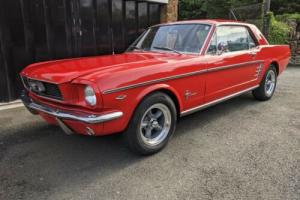 1966 Ford Mustang Coupe 289 4.7 V8 - C Code - Manual - 3 Owner Car Photo