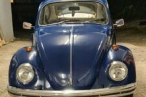 1300cc beetle standard Photo