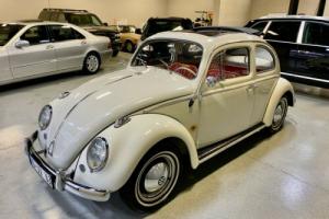 1963 Volkswagen Beetle - Classic Photo
