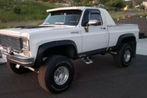 1975 Chevrolet Other Pickups Photo