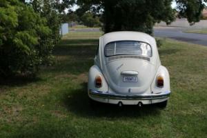 1969 VW Beetle Photo