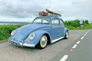 Volkswagen Beetle Classic 1969