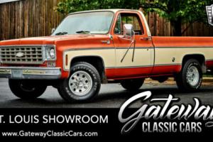 1976 Chevrolet Other Pickups Camper Special Photo
