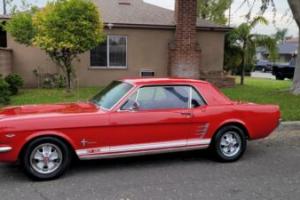 1966 Ford Mustang COUPE 302 V8 AUTOMATIC GT TRIBUTE