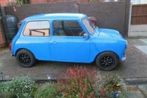 classic mini 1982 Photo