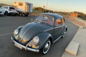 1958 Volkswagen beetle
