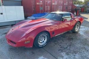 1980 Chevy Corvette Photo