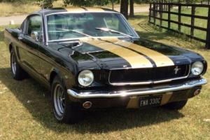 1965 ford mustang fastback Photo