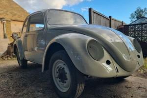 1965 VW Beetle Photo