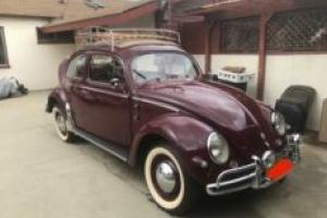 1956 Volkswagen bug