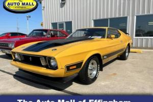 1973 Ford Mustang Mach 1 Fastback Photo