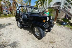 1980 Jeep Willys Photo