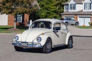 1967 Volkswagen Beetle - Classic