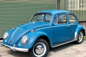 1966 VW Beetle. Original unrestored Swedish import. Runs & drives. Great project Photo