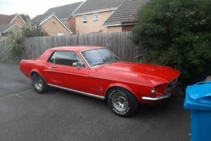 Ford mustang 1967 Photo