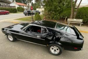 1973 Ford Mustang Photo