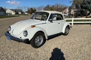 1977 Volkswagen Beetle - Classic Triple white Photo