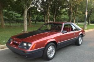 1986 Ford Mustang LX Photo