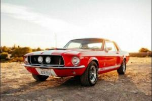 1967 Ford Mustang GT 350 Photo