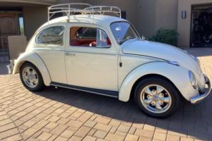 1960 Volkswagen Beetle - Classic Photo