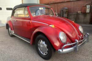 1966 Volkswagen Beetle - Classic convertible Photo