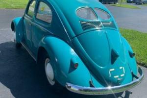 1951 Volkswagen bug
